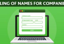 MCA Naming Guidelines for Private Limited Company / OPC / LLP
