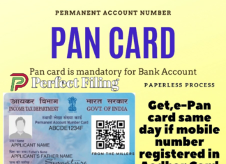 Get your Pan immediately with simple and paperless process