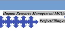 Human Resource Management MCQ