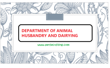 DEPARTMENT OF ANIMAL HUSBANDRY AND DAIRYING