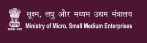 Micro small medium enterprises